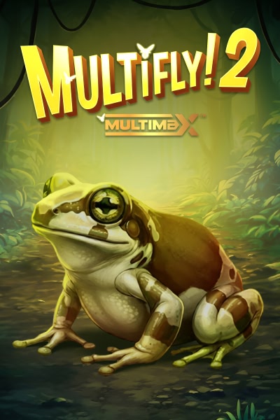 Multifly! 2 MultiMax